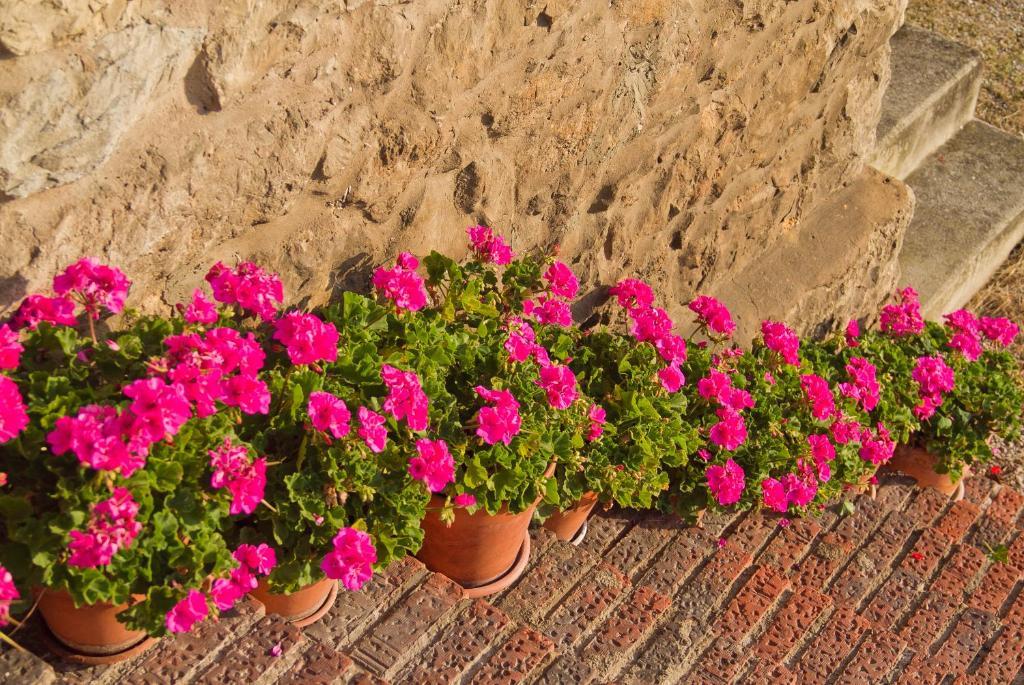 Posada La Solana - Adults Only Santillana del Mar Dış mekan fotoğraf