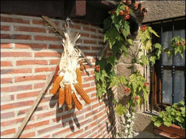 Posada La Solana - Adults Only Santillana del Mar Dış mekan fotoğraf