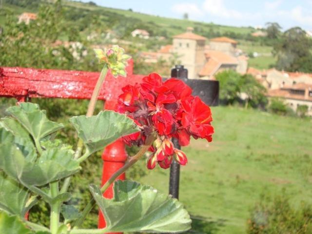 Posada La Solana - Adults Only Santillana del Mar Dış mekan fotoğraf